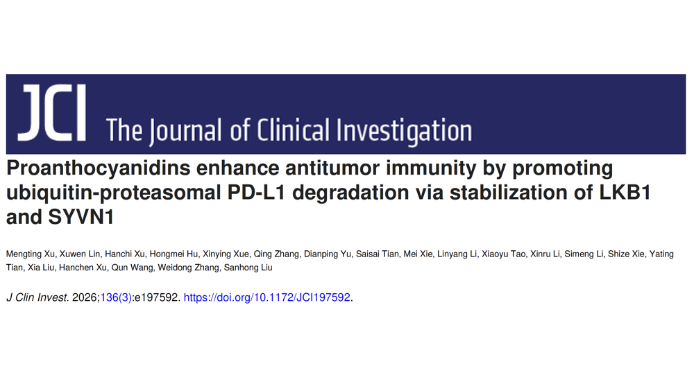 刘三宏团队揭示原花青素抗肿瘤免疫新机制