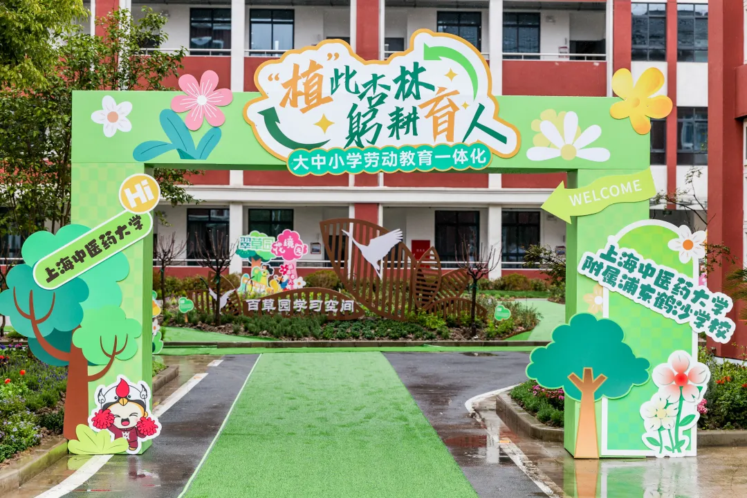 中医药文化+劳动教育 bat365中文官方网站携手附属中小学共植杏树