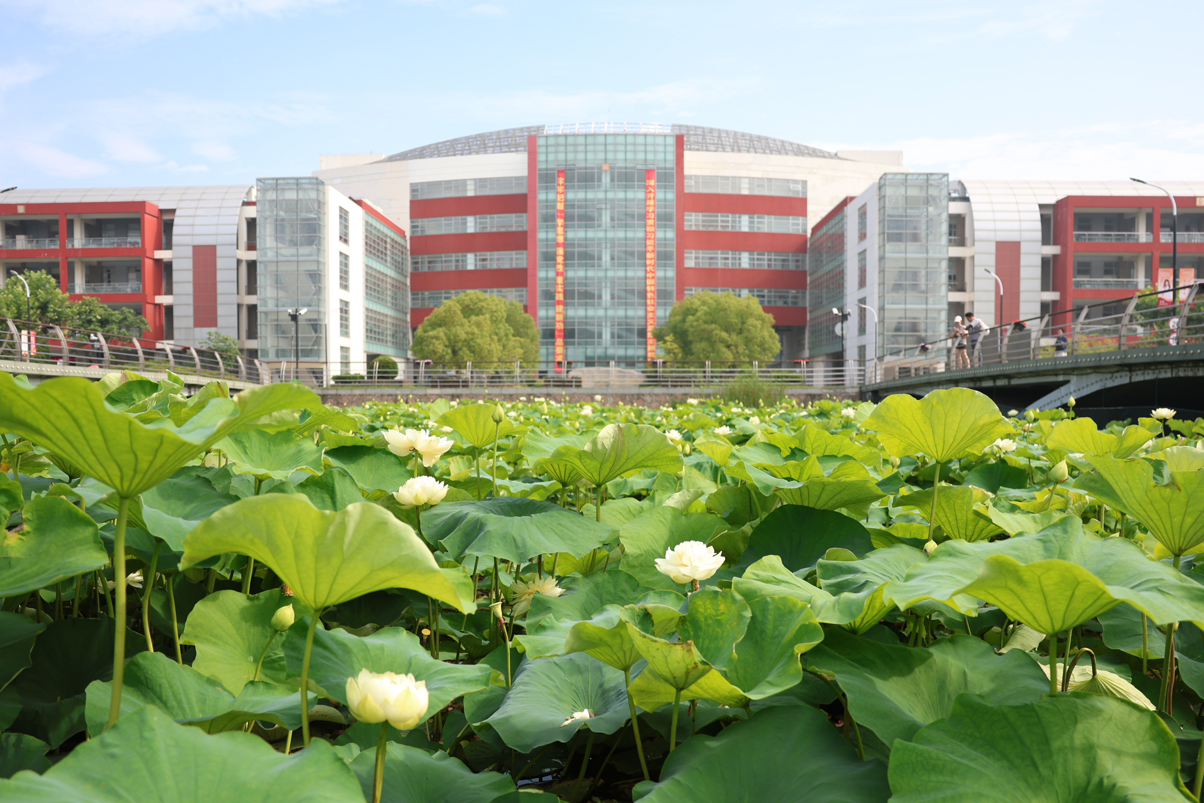 特等奖！bat365官网教师在第五届上海市高校教师教学创新大赛中获多项佳绩