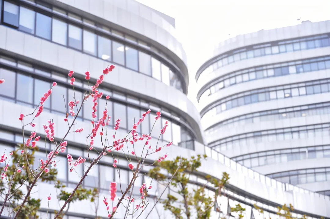  bat365官网中药研究所研发中药1类新药车前子片获新药临床试验批件