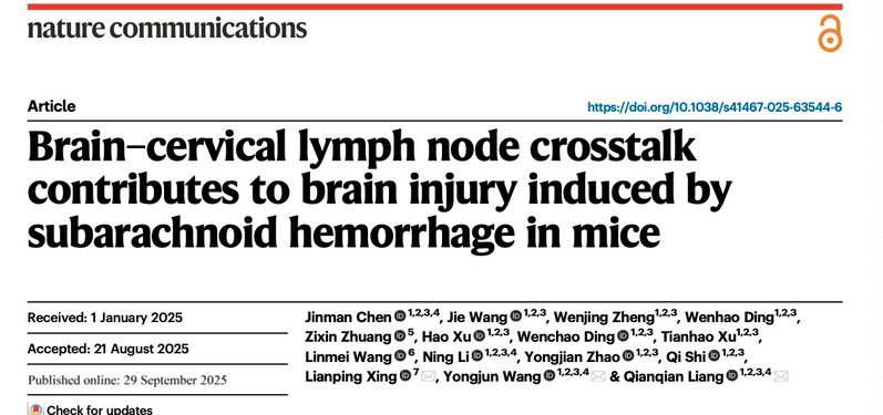 再登Nature Communications！bat365官网梁倩倩研究员、王拥军教授团队破解脑损伤病理机制