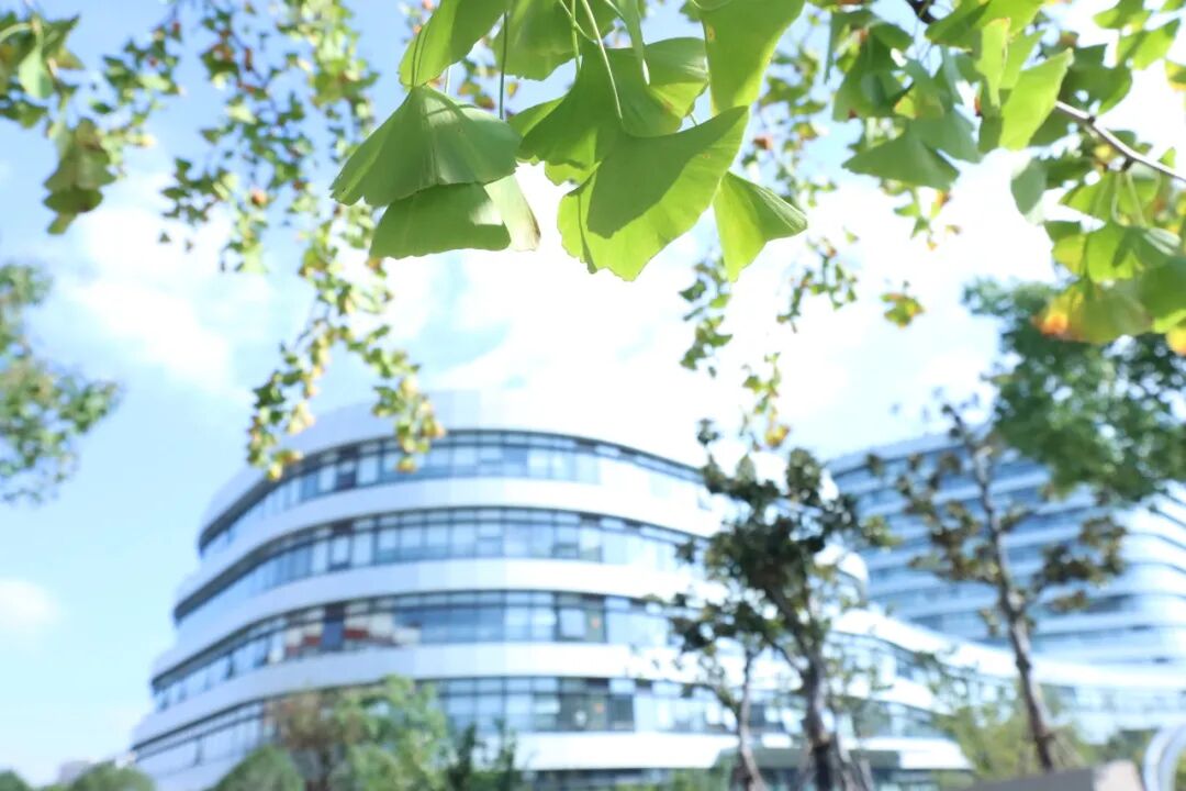 12+9！第十八届上海中西医结合科学技术奖和2025年“结合医学新星”颁布