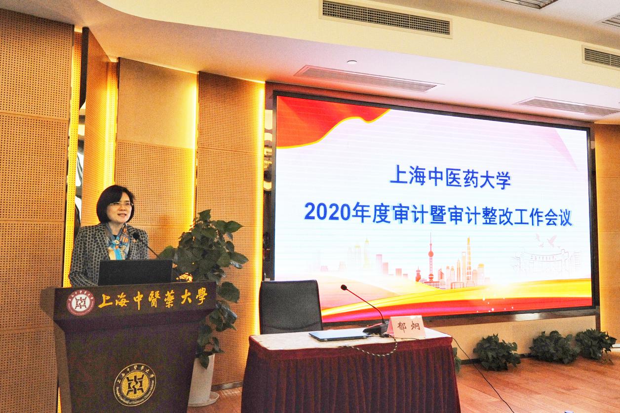 bat365官网召开2020年度审计暨审计整改工作会议