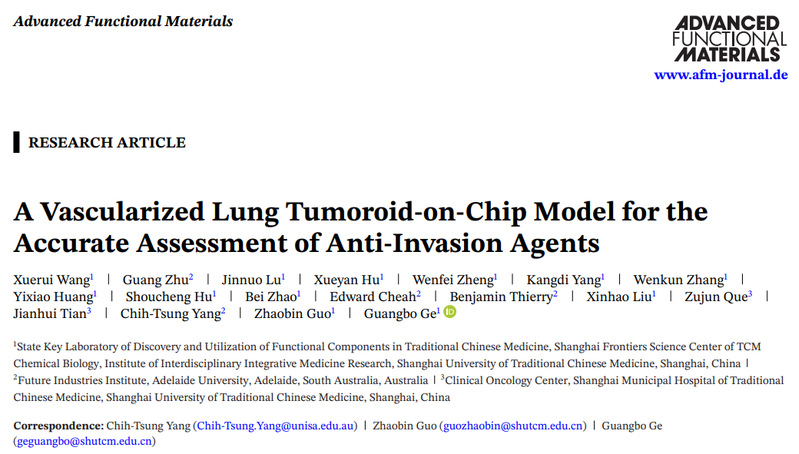 bat365官网交叉科学研究院团队成功研发血管化肺癌类器官芯片