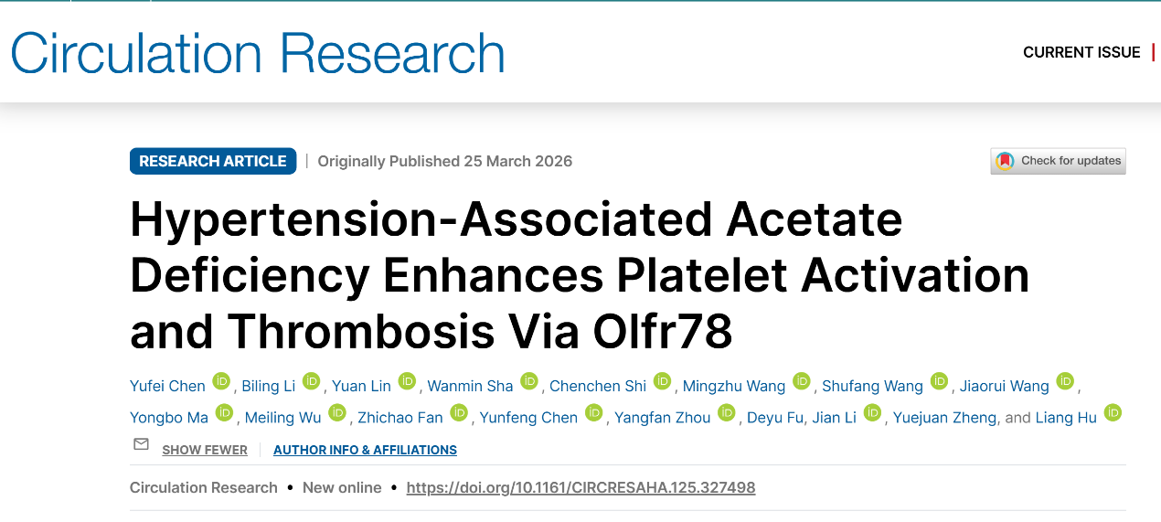 中西医结合学院胡亮团队揭示：高血压血瘀证核心机制开辟养生与防治心血管疾病新路径