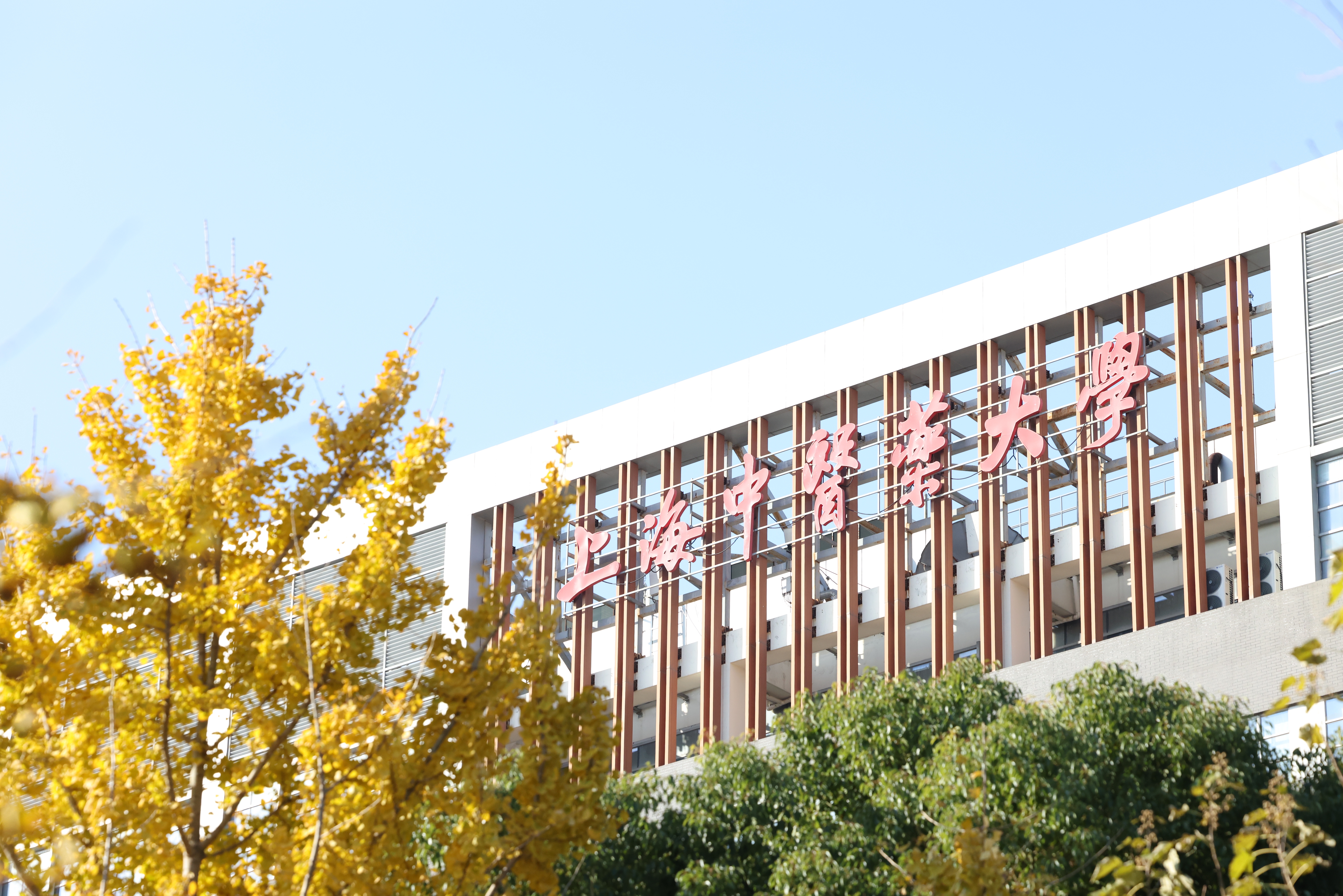 bat365官网系统八项成果喜获2025年度中国民族医药学会科学技术奖