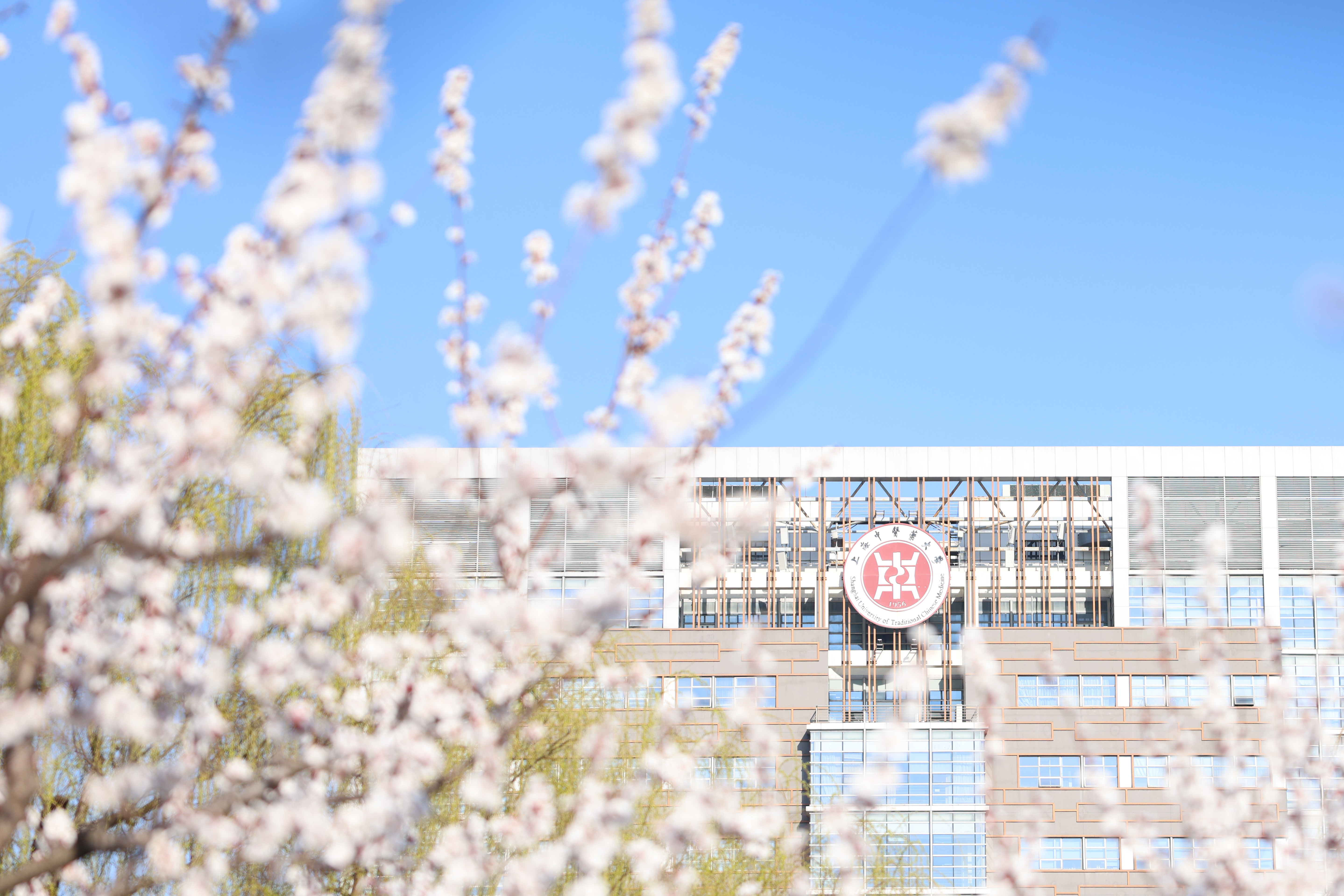 bat365官网10部教材入选“十四五”普通高等教育本科国家级规划教材