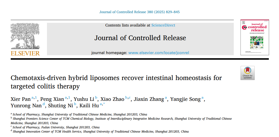 中药学院胡凯莉团队构建冰片修饰细菌外膜囊泡融合脂质体为结肠炎的靶向治疗提供新策略