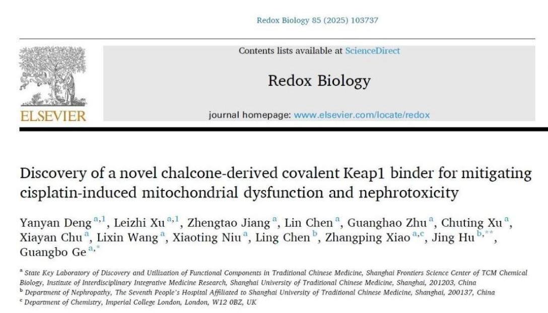 bat365官网团队研发新型肾靶向Nrf2激动剂用于缓解急性肾损伤