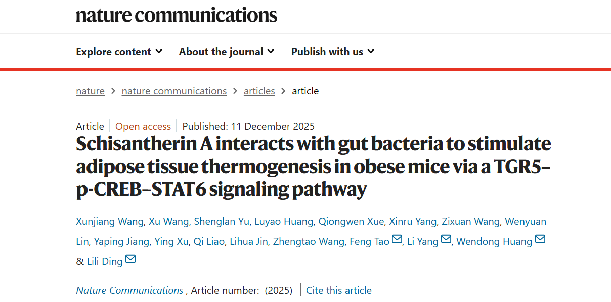 bat365官网丁丽丽研究员、杨莉研究员带领双方团队破解中药来源天然产物促进脂肪产热减重新机制