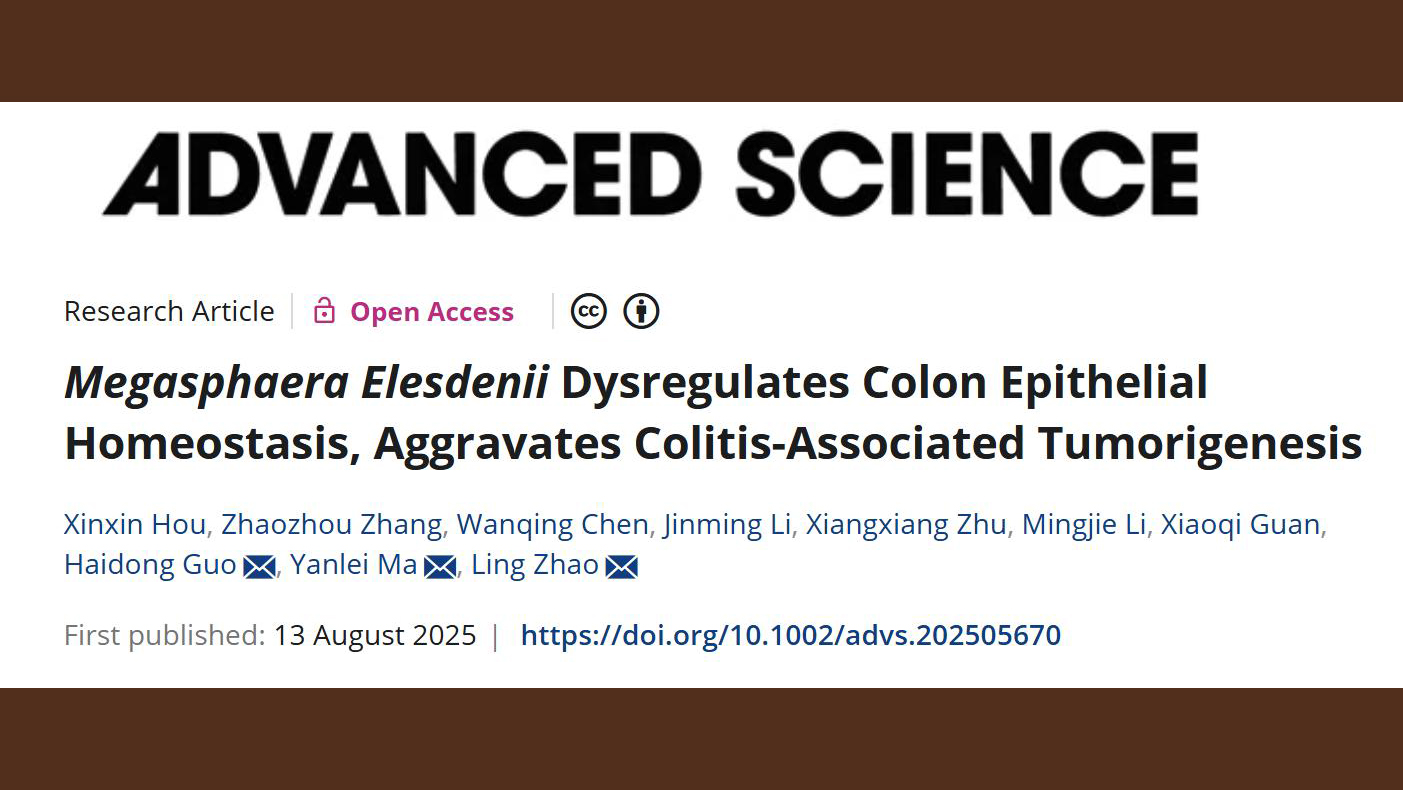 bat365官网中西医结合学院研究团队揭示肠道菌Megasphaera促进结直肠癌炎癌转化的机制